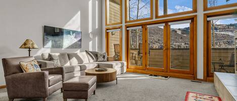 TV, fireplace, DVD player