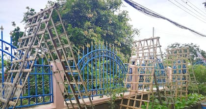 Homestay and vegetable garden, non-toxic.