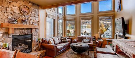 Télévision, cheminée, lecteur de DVD