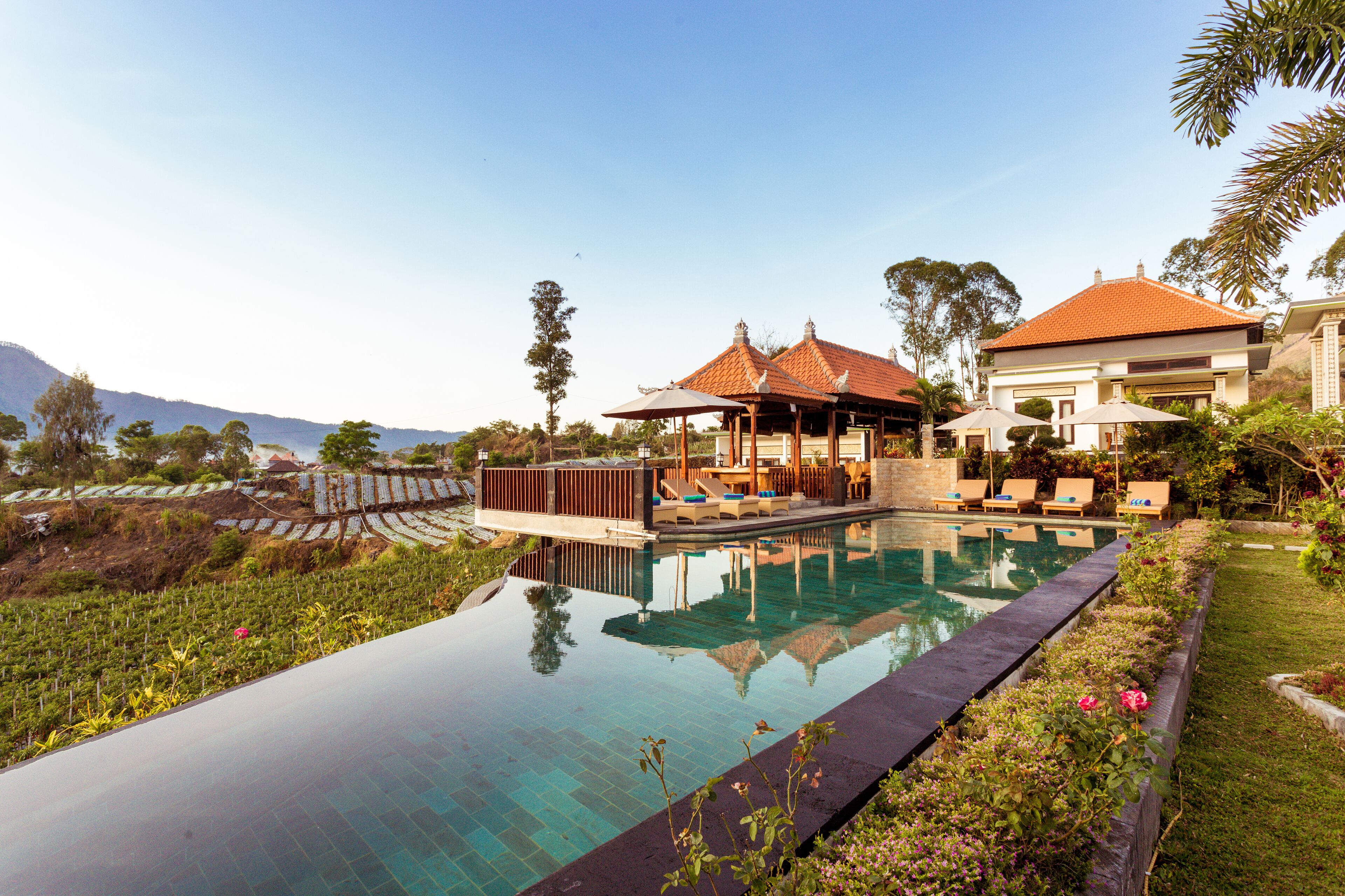 A pool with a wooden deck and lounge chairs, surrounded by a garden and a large building with a red roof.