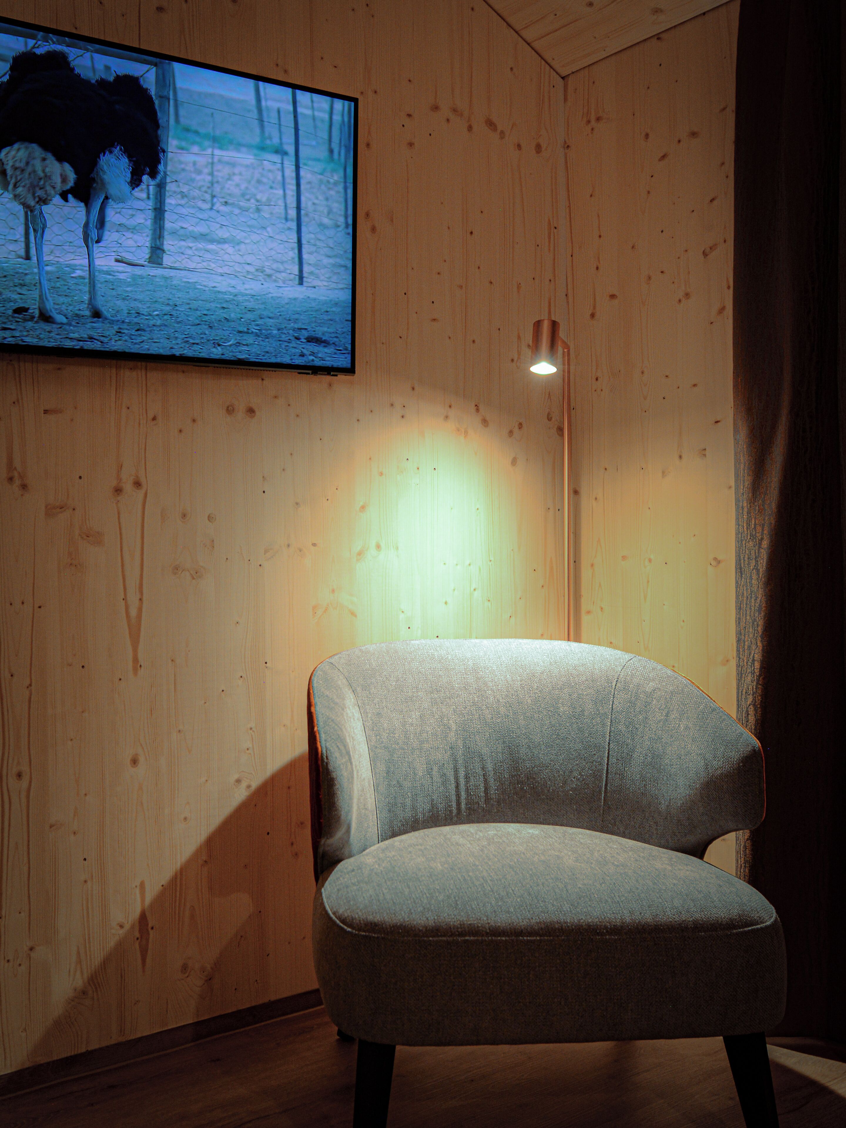 A room with a wooden wall, a television displaying an image of an ostrich, and a single light fixture.
