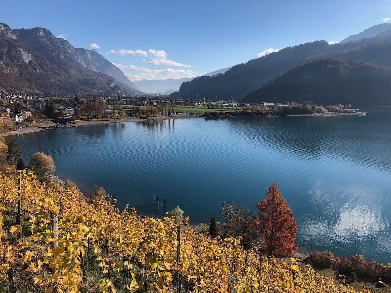 Ein See, umgeben von Bergen, mit Herbstlaub im Vordergrund.