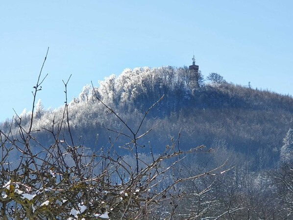 Imagen sin descripción, 1 de 26, botón