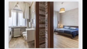 Shower, hair dryer, bidet, towels