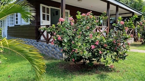 A wooden house with a porch, surrounded by lush greenery and flowering bushes. - Chez Michelin Pension Residence (La Digue)