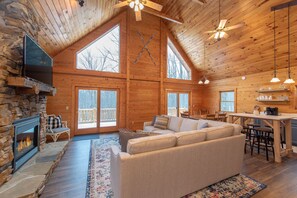 TV, fireplace, video games, DVD player