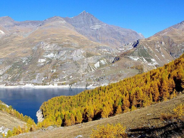 A mountainous landscape with a lake and forested area.