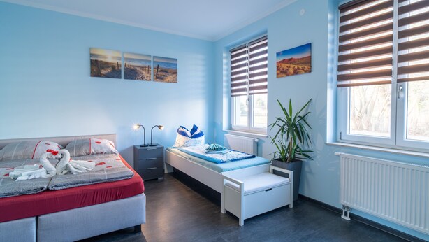 A room with a bed, bedside table, lamp, potted plant, and artwork on the walls.