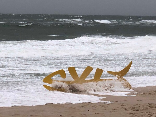 Unclassified image, 1 of 28, button