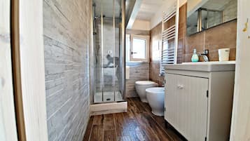 Shower, hair dryer, bidet, towels