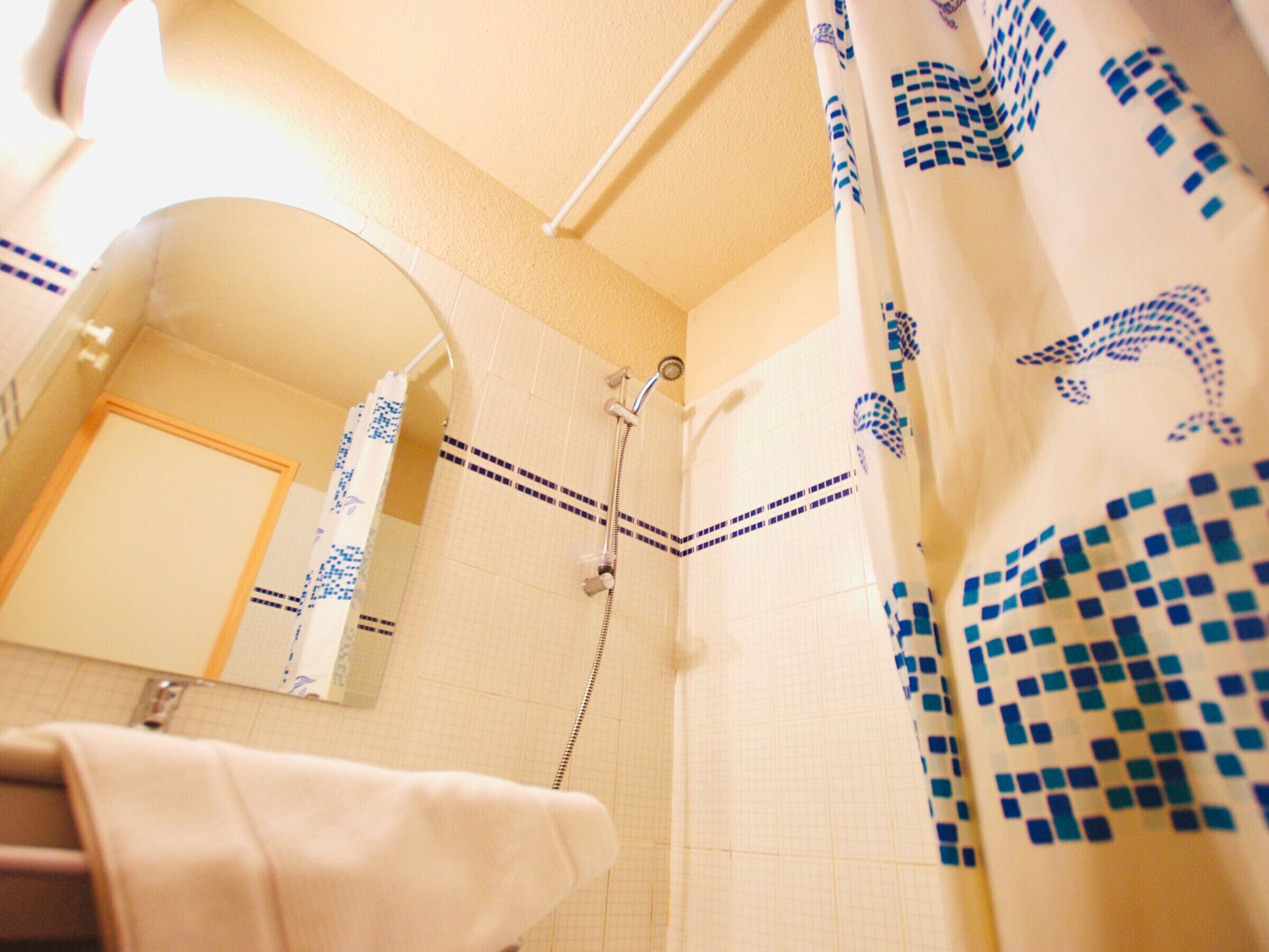 Une salle de bain avec une douche, un miroir et un porte-serviettes.