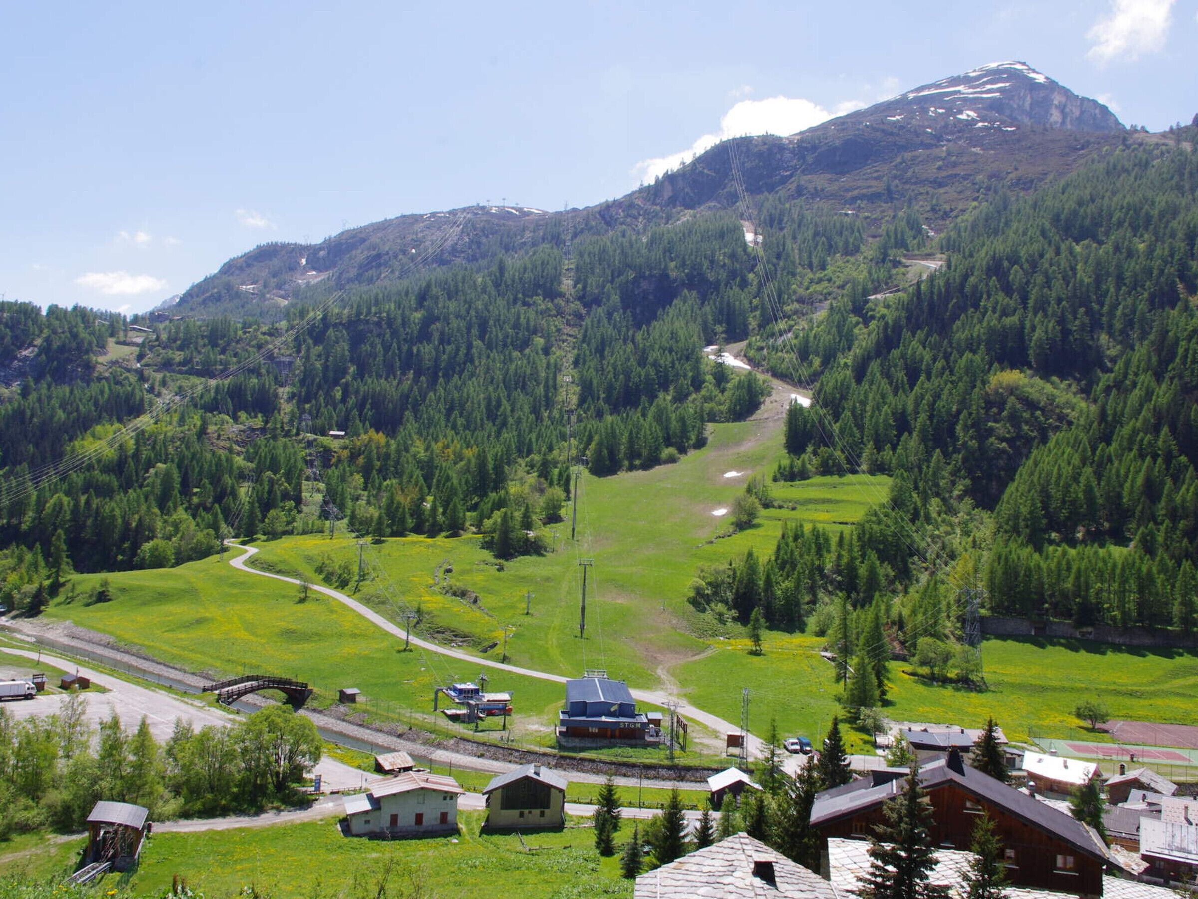 A rural village with houses, a small road, and a mountain in the background.