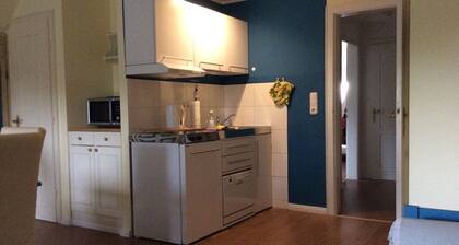 Teewelkenhüs swallow's nest