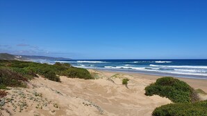 A beach with sandy dunes and green vegetation.
