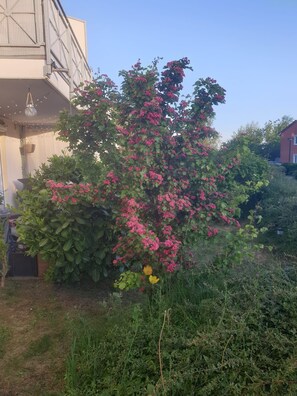 Overnatningsstedets område