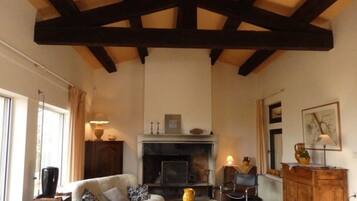 Televisie, een open haard en boeken