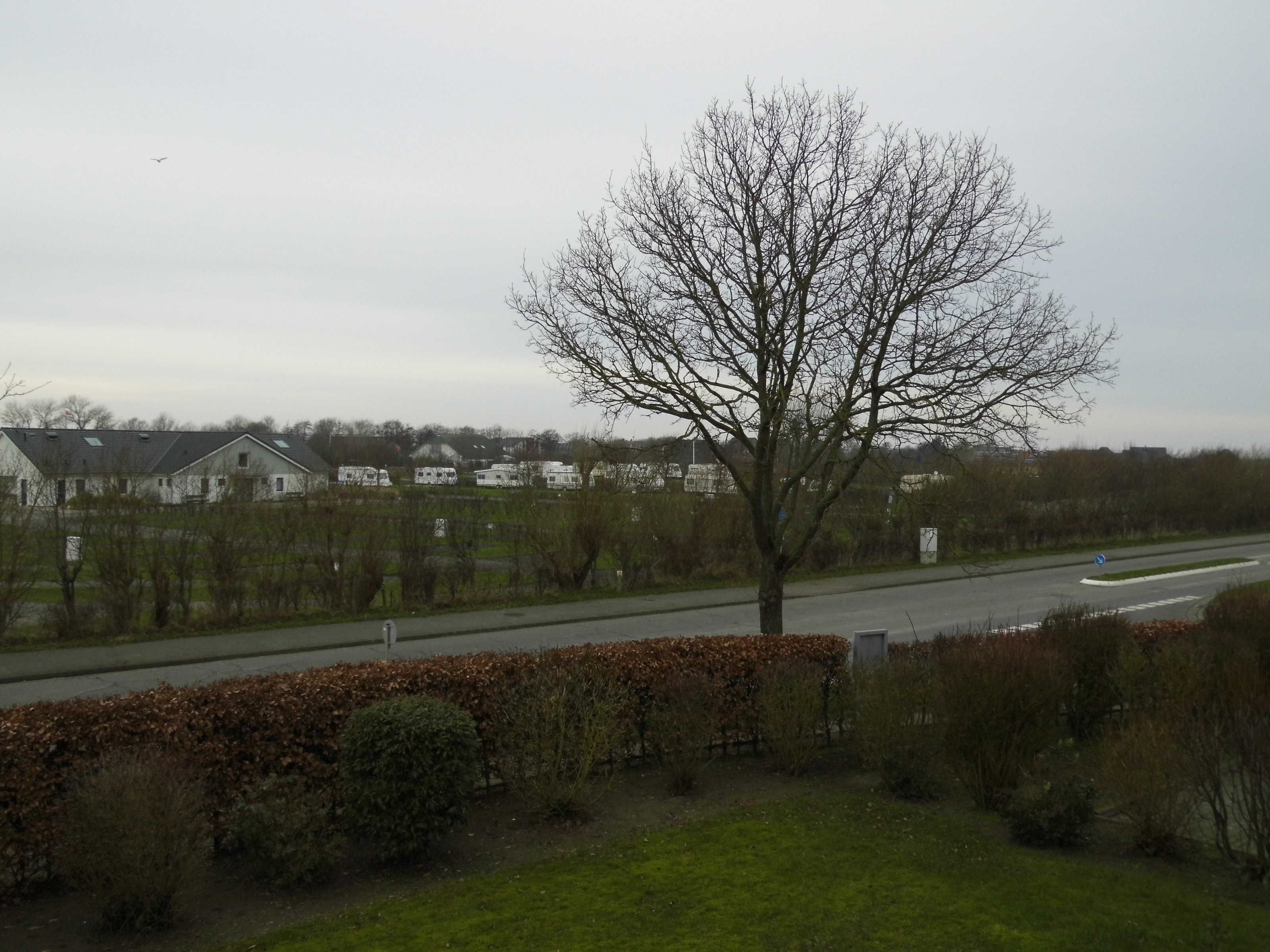 Ein Wohngebiet mit Häusern, einer Straße und einem Baum.