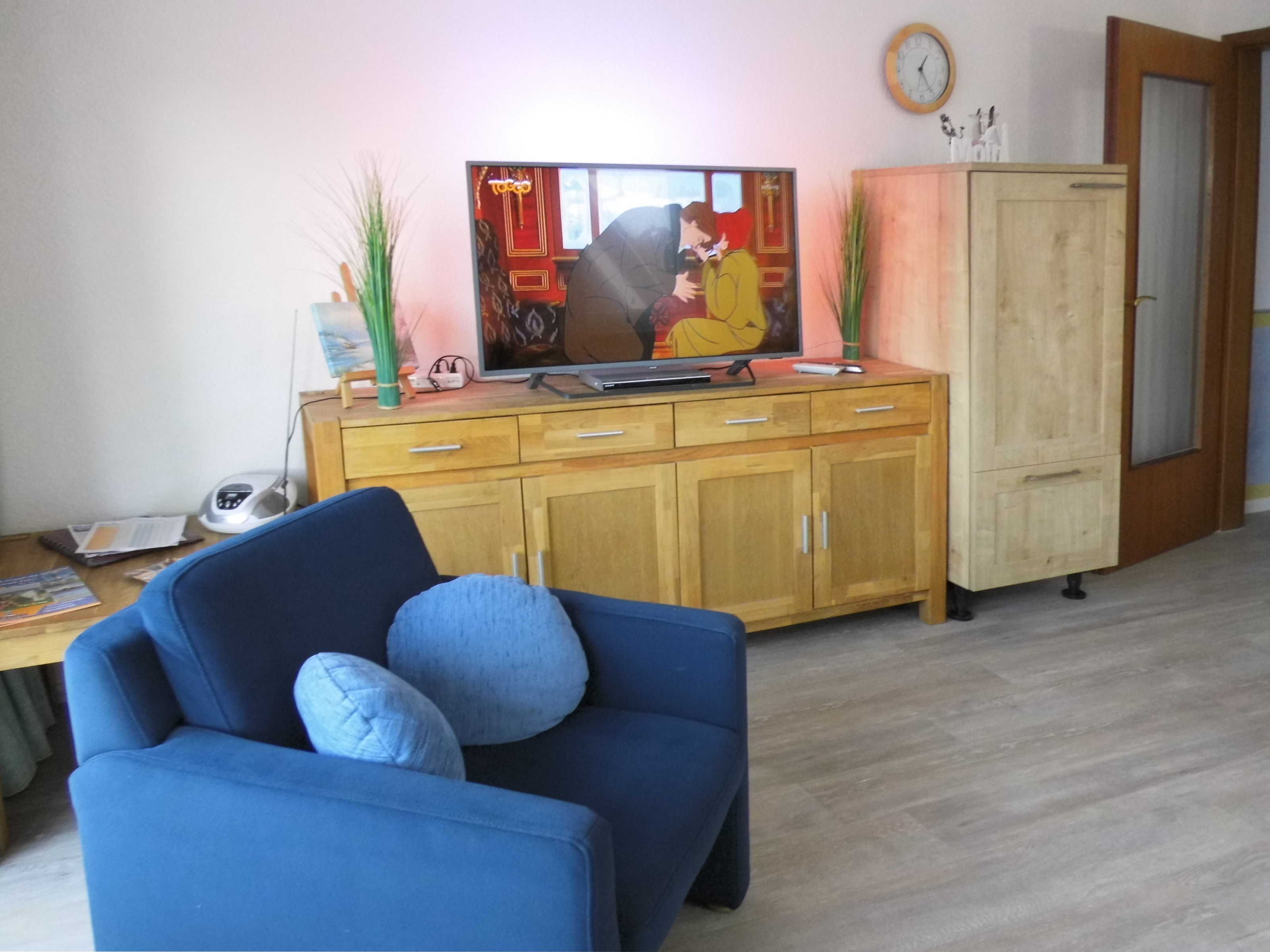 Un salon avec un canapé bleu, un meuble en bois et un téléviseur.