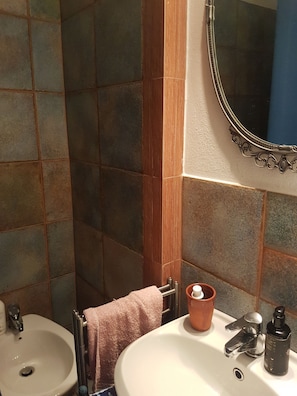 Shower, hair dryer, bidet, towels