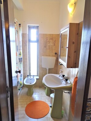 Combined shower/bathtub, hair dryer, bidet, towels