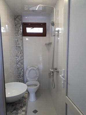 Habitación Deluxe con 2 camas individuales | Baño | Ducha, secador de pelo, toallas y jabón