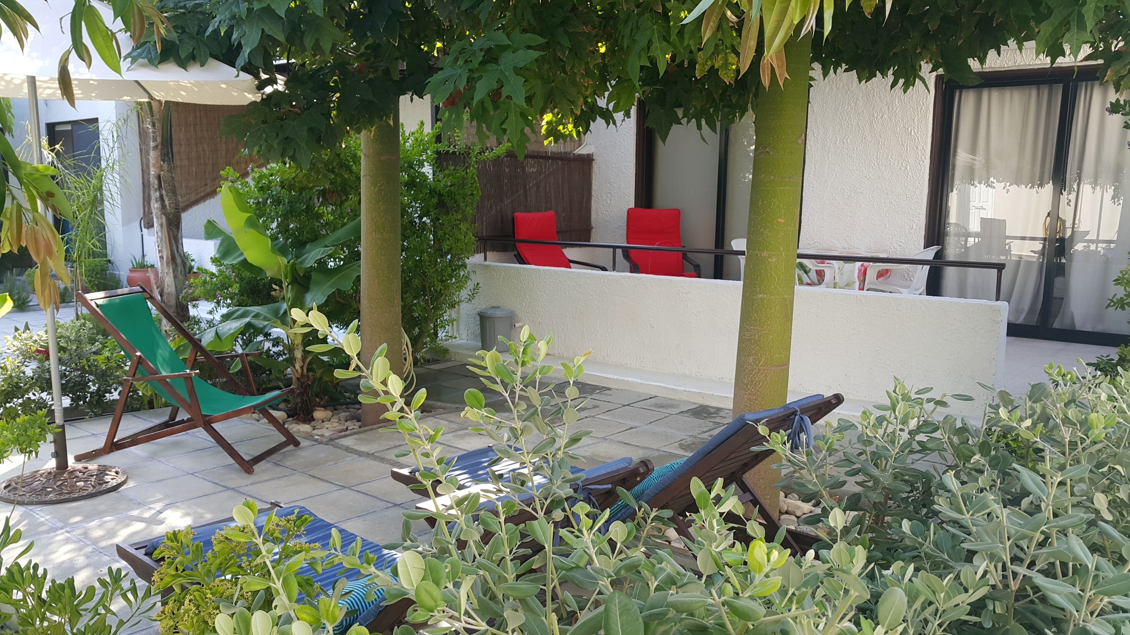 テラス / パティオ