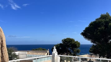 Terras