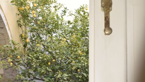 A doorway leading to a courtyard with a small tree bearing yellow fruit, a white door with a brass handle, and a stone wall. - Romantic studio, city center, near beach, next market  and restaurants (Kalymnos)