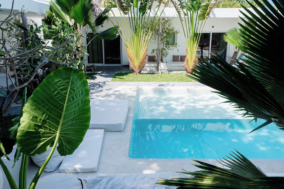 A swimming pool surrounded by tropical plants, a modern house, and a clear sky.