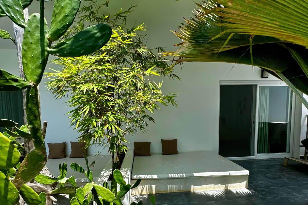 Terraza o patio