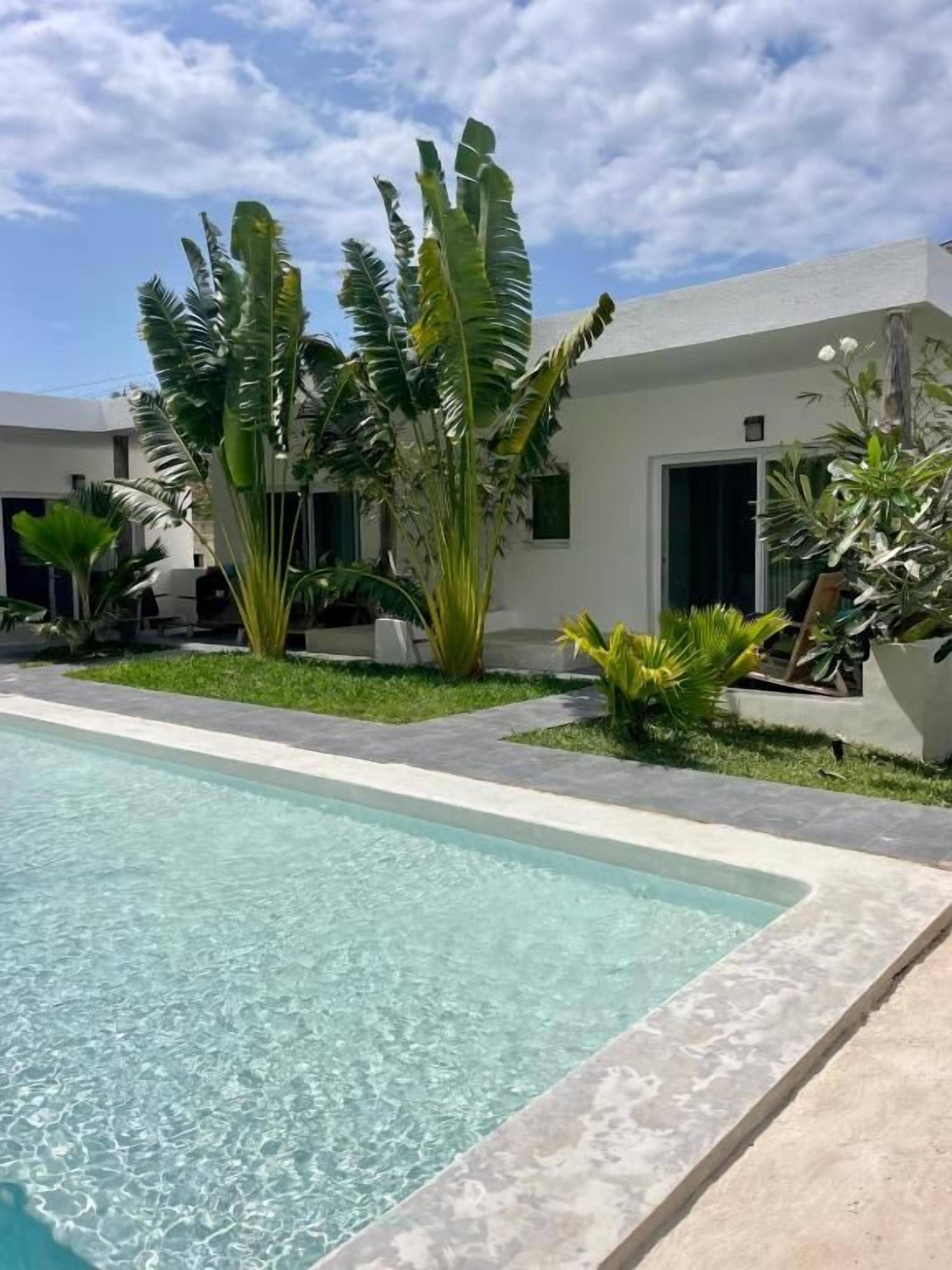 Una piscina con superficie de agua azul cristalina, rodeada por una terraza de concreto. Se observan varias plantas tropicales y un edificio con fachada blanca y una puerta visible.