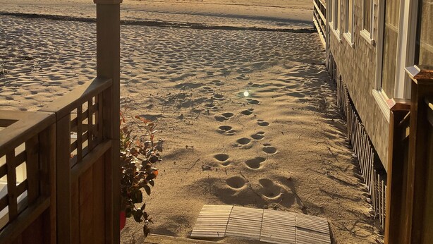 A wooden deck leading to a beach with footprints, a wooden fence, and a building with windows. - Wonderful beachside hideaway. Steps to the beach! Steps to the action! (Provincetown)