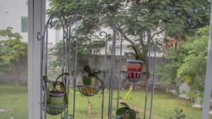 Un ensemble de plantes en pot, disposées sur un présentoir en métal, près d’une fenêtre donnant sur un jardin.