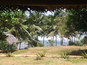 Property grounds - emma sea view Hiriketiya (Nilwella)
