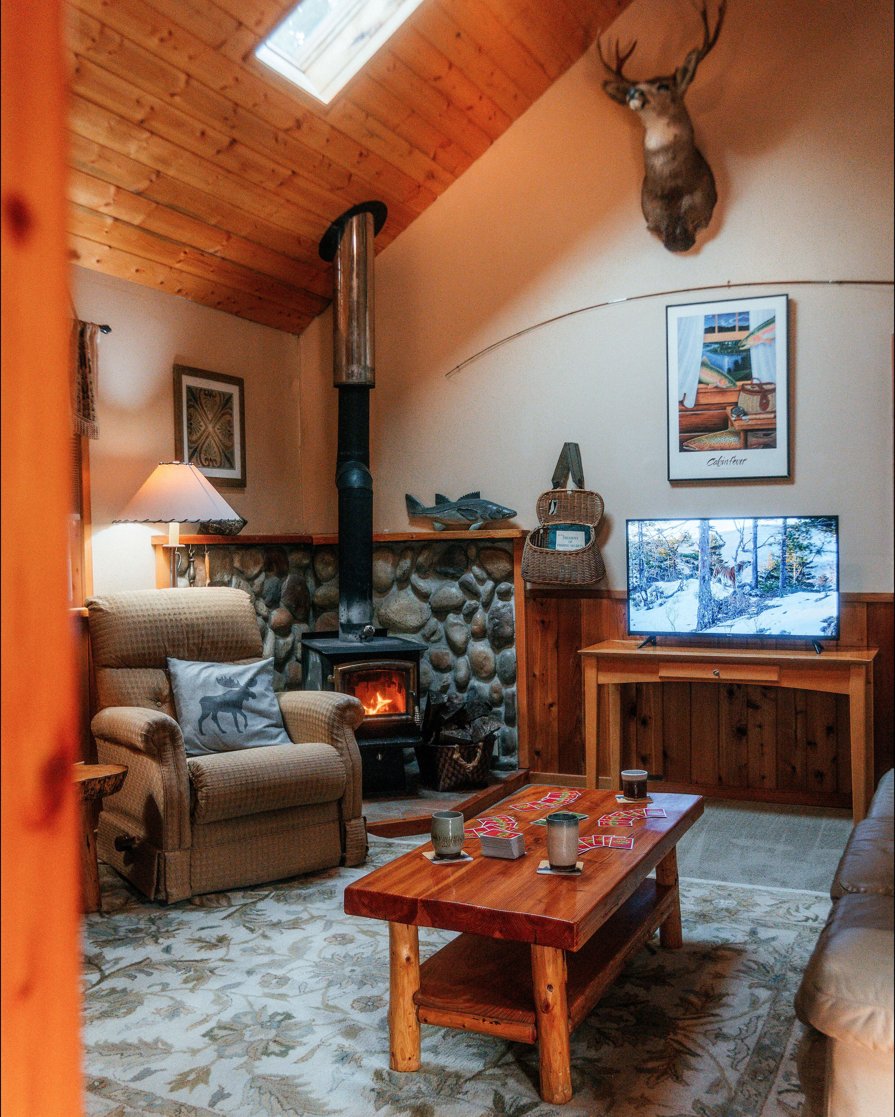 TV, DVD player, streaming services