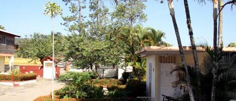 A residential area with a house featuring a small porch, surrounded by various trees and shrubs.