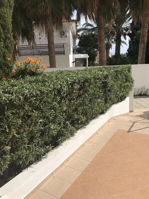 Departamento de diseñador, vista a la alberca | Exterior