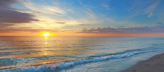 Coco Cabana · Swim-Up Tiki Bar · Pet-Friendly