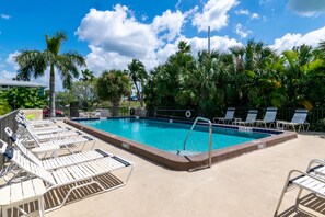 A swimming pool with lounge chairs and palm trees.