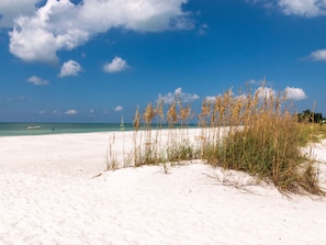 A sandy beach with sparse vegetation and a clear blue sky.