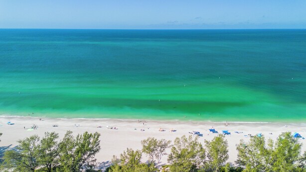 A beach with clear turquoise water, sandy shore, and sparse trees.