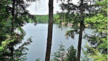 A serene lake surrounded by tall trees.