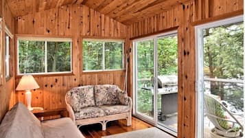 Smart TV, fireplace, DVD player, music library