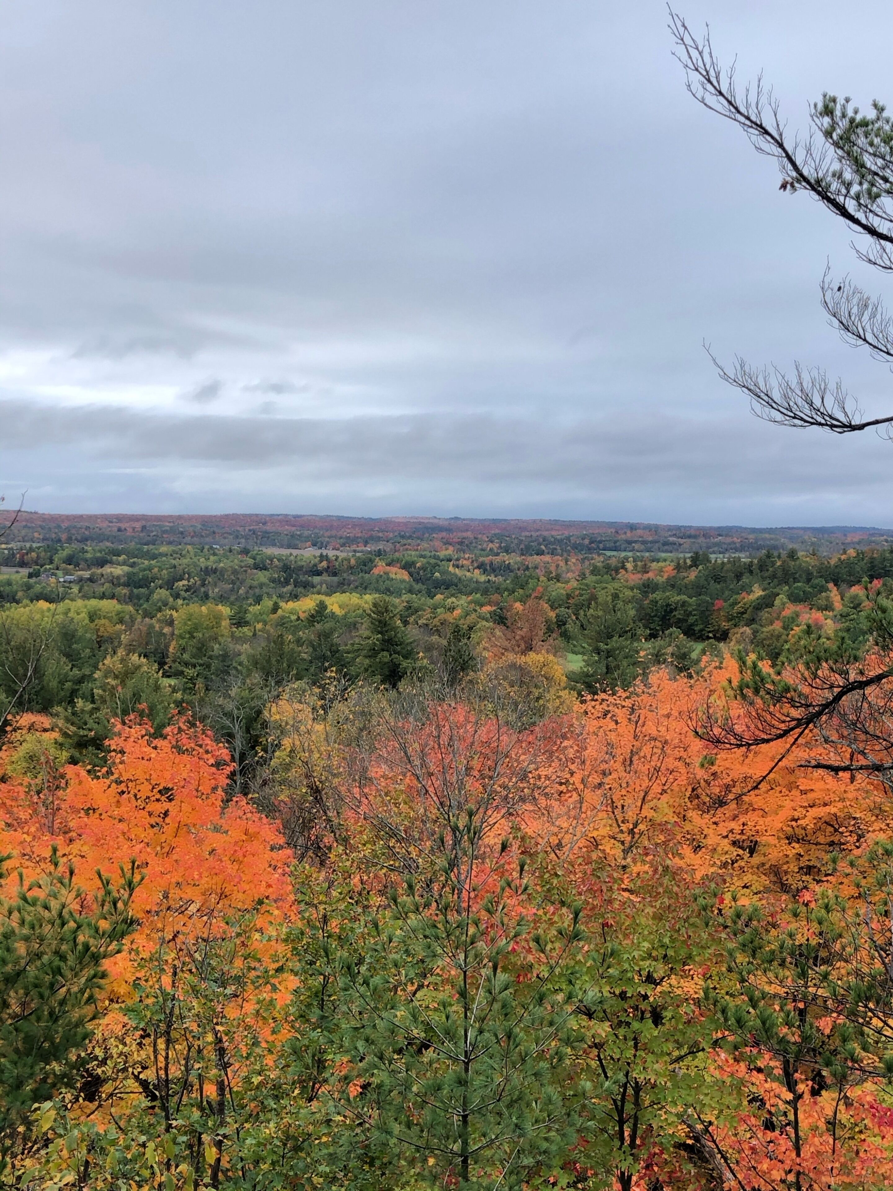 The view from one of our trails 