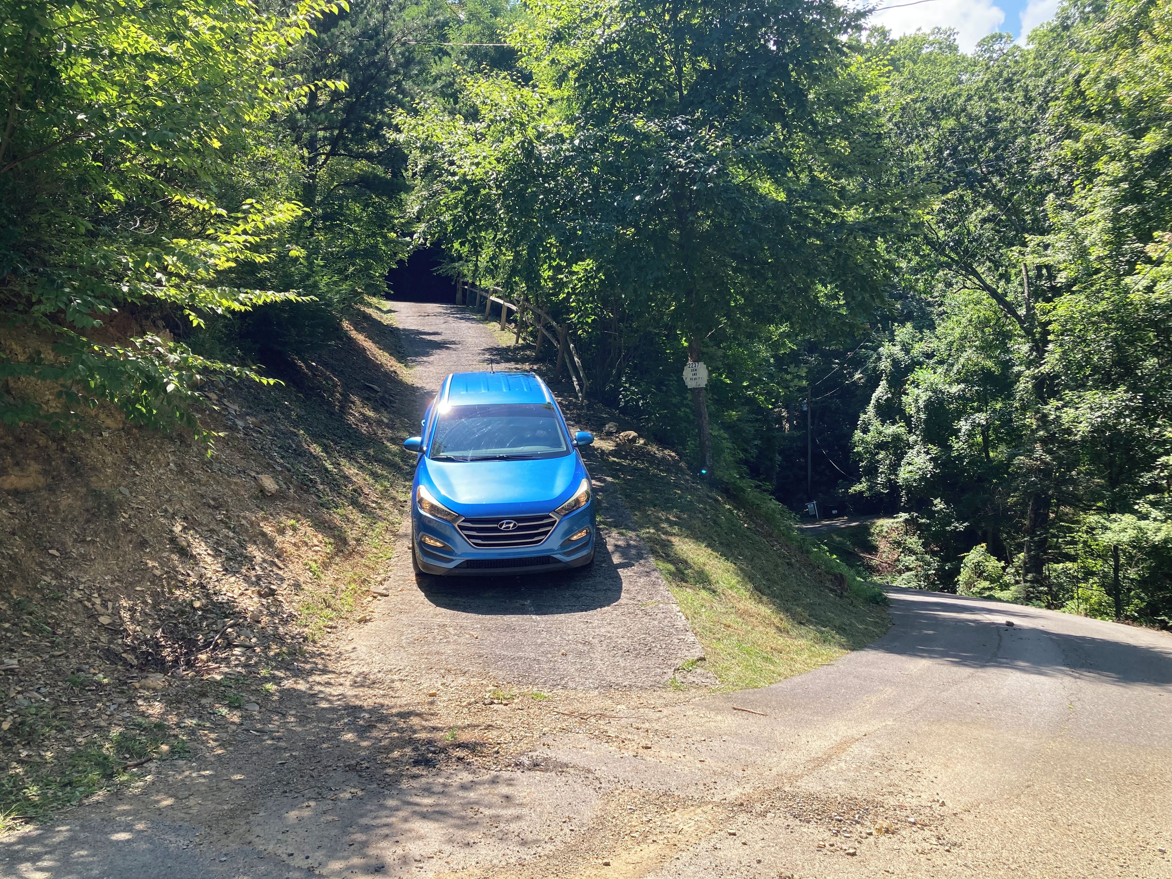 Une voiture bleue est garée sur un chemin de terre, entourée d’une végétation luxuriante.