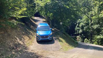 Une voiture bleue est garée sur un chemin de terre, entourée d’une végétation luxuriante.