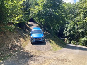A blue car parked on a dirt road surrounded by dense greenery.