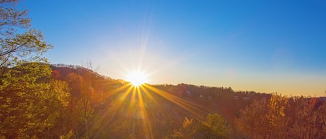 A sunrise over a forested area with a clear sky.