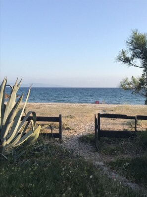 على الشاطئ، كراسي للتشمس