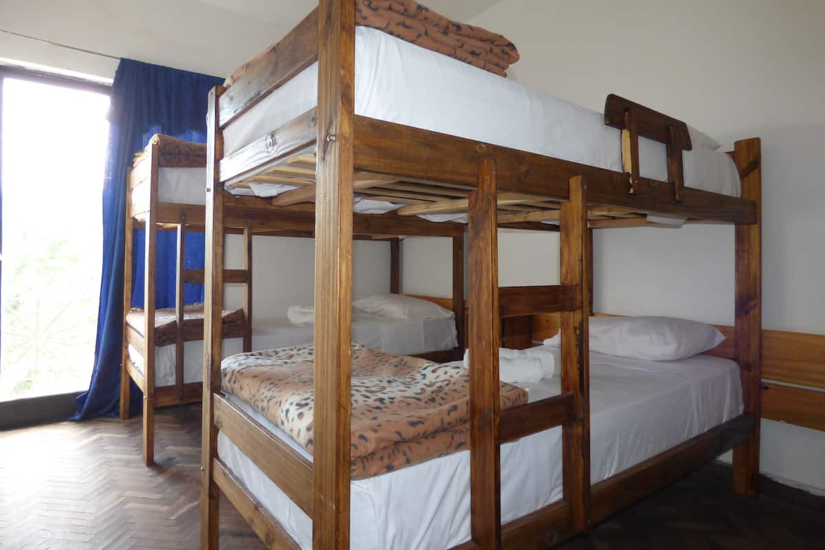 Dormitorio compartido básico, dormitorio mixto (4 Beds) | Caja de seguridad en la habitación y espacio para trabajar con laptop